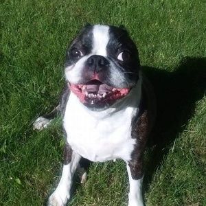 Meet your Posher, Scott